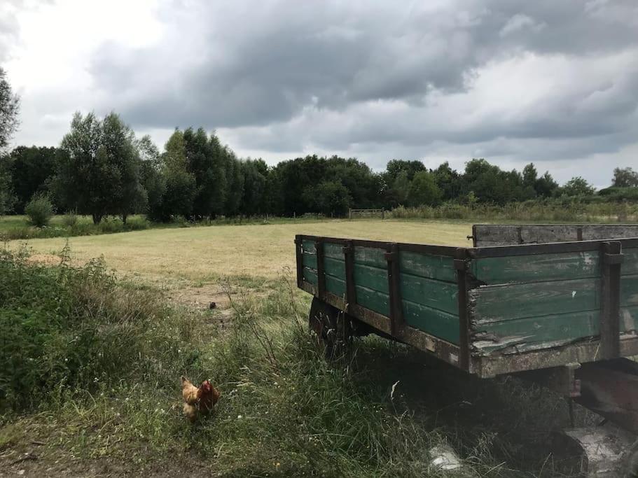 Le Cottage - Maison De 6 A 8 Personnes - La Ferme Du Try Frasnes-lez-Gosselies Екстер'єр фото